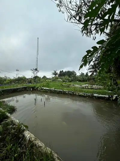 WhatsApp Image 2026-01-28 at 22.52.37 (1)