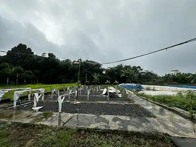 WhatsApp Image 2026-01-28 at 22.52.38 (4)