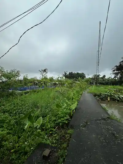 WhatsApp Image 2026-01-28 at 22.52.38